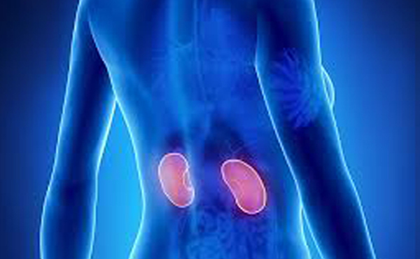 Mediterranean diet may help kidney patients post transplant