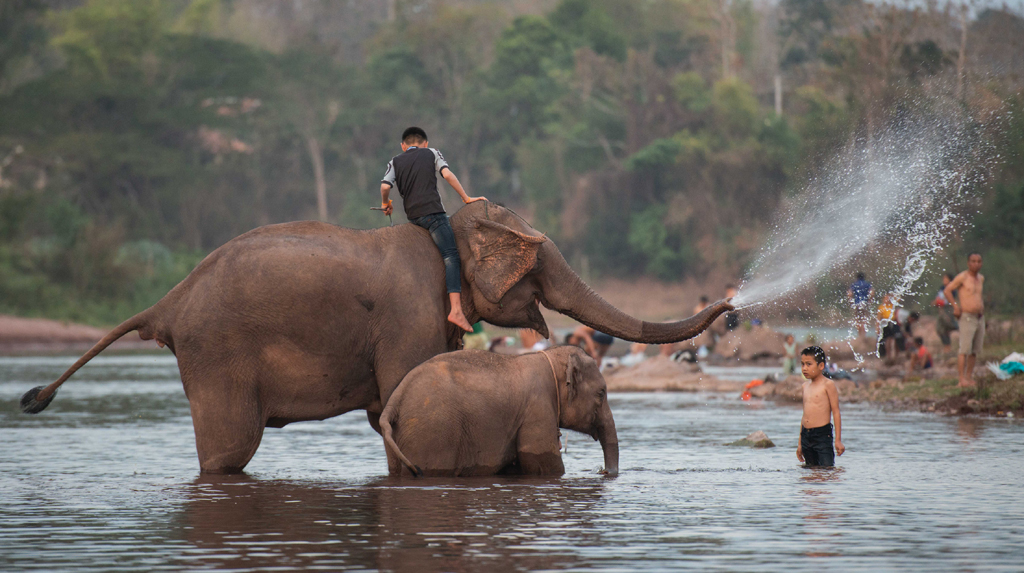(200223) -- XAYABOURY, Feb. 23, 2020 (Xinhua) -- Kids play with elephants during the Elephant Festival in a tributary of Mekong River in northern Lao province of Xayaboury, on Feb. 22, 2020. The annual Elephant Festival lasts from Feb. 22 to Feb. 28 this year. (Photo by Kaikeo Saiyasane/Xinhua)
