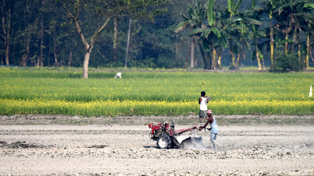 Govt committed to doubling farmers' income by 2022: FM