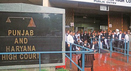 No inquiry panel into Covid victims' body swap in Punjab: HC