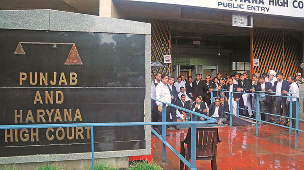No inquiry panel into Covid victims' body swap in Punjab: HC