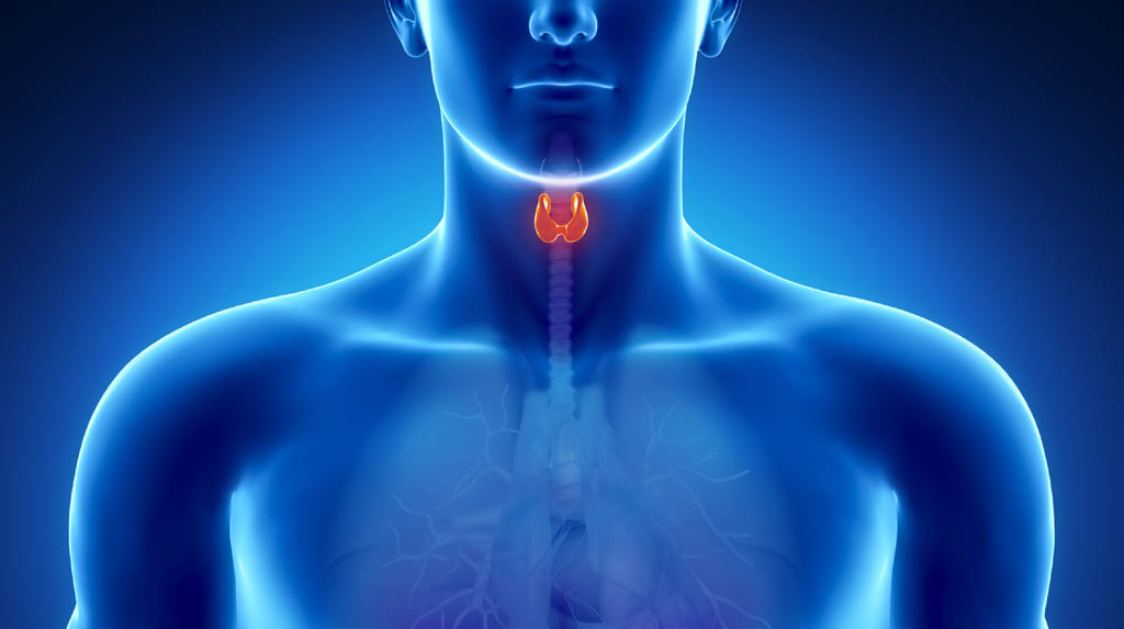 Long working hours can cause underactive thyroid