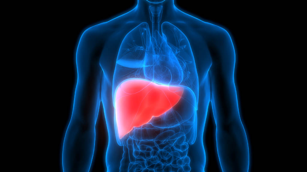 Five warning signs of Liver Diseases