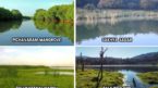 India Designates 5 New Ramsar Sites