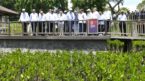 PM Narendra Modi visits Mangrove forests on the sidelines of G-20 Summit in Bali