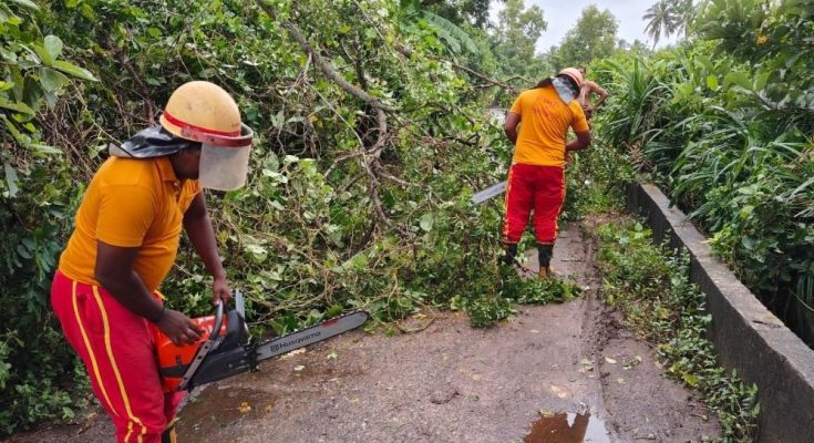 Cyclone Dana Impact