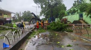 Cyclone Dana Impact