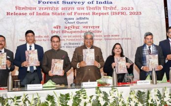 India Forest Report