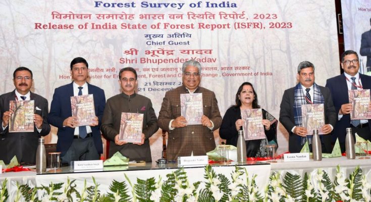 India Forest Report