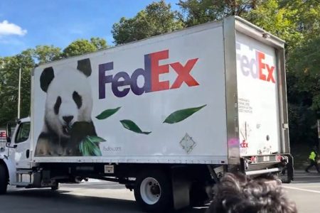 FedEx International Connect Plus Expands Global Reach