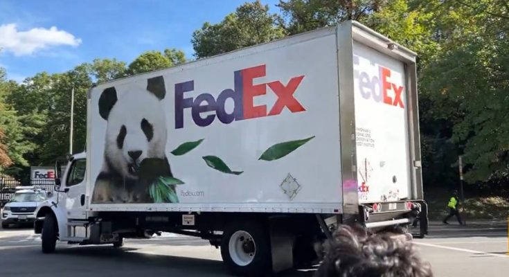 FedEx