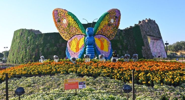 Ahmedabad Flower Show