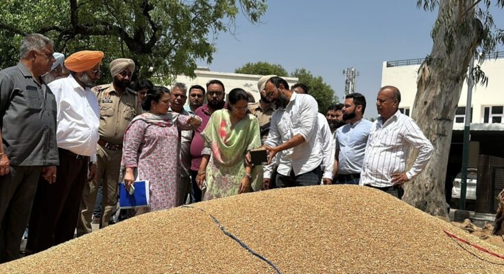 Wheat Procurement