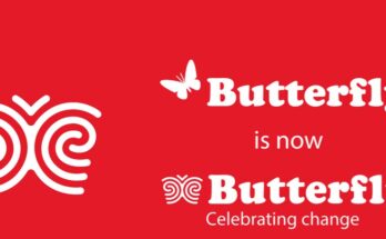 Butterfly