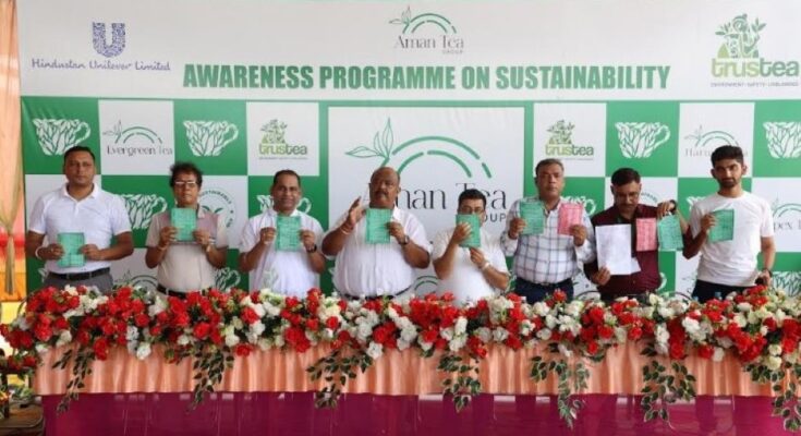 Aman Tea Group