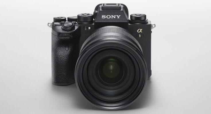 Sony India
