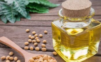 Edible Oil Data
