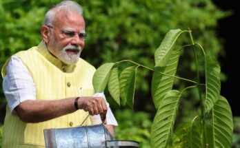 PM Modi Plants Kadamb