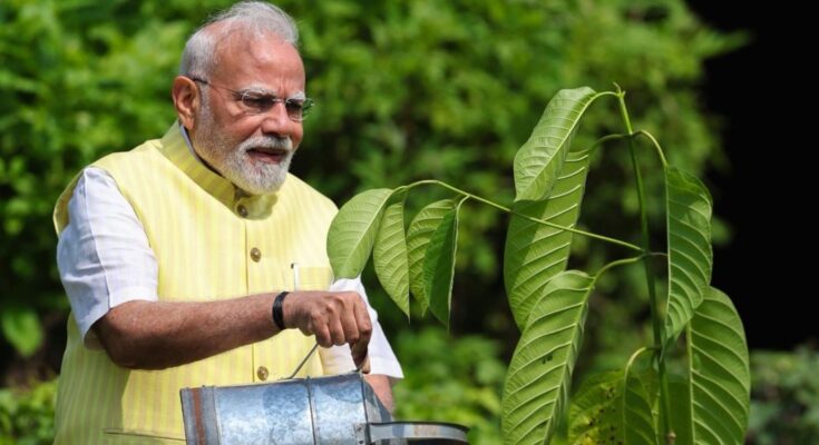 PM Modi Plants Kadamb