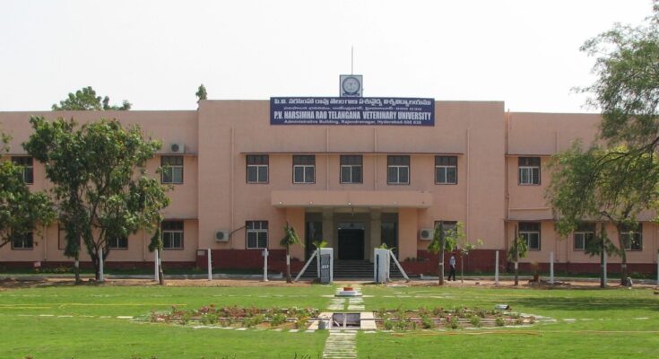 Animal Health Research