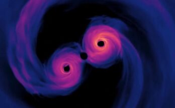 Two Black Holes