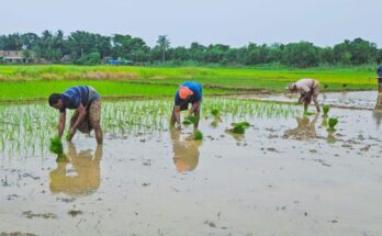 Major Relief For Farmers