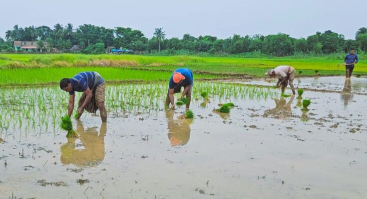 Major Relief For Farmers