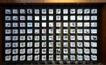 Shapoorji Pallonji Real Estate