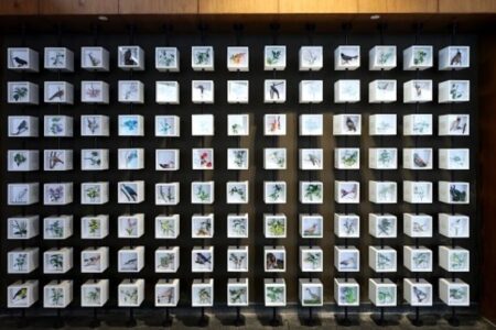 Shapoorji Pallonji Real Estate Unveils ‘Coexistence with Flora & Fauna’ Mural