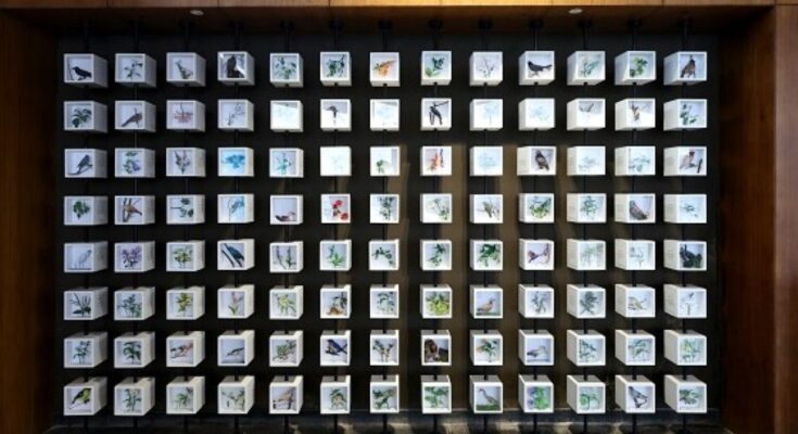 Shapoorji Pallonji Real Estate