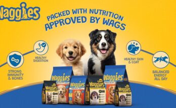 Reliance Consumer Products