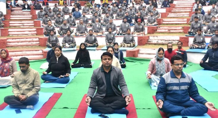 World Meditation Day