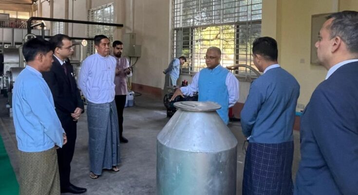 Three Quick Impact Projects