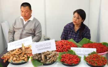 APEDA Organic Conclave