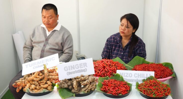 APEDA Organic Conclave