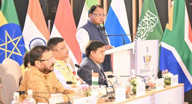 BRICS DRRG Meeting