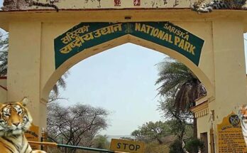 Sariska Tiger Reserve