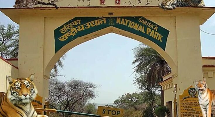 Sariska Tiger Reserve