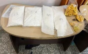 DRI Drug Bust