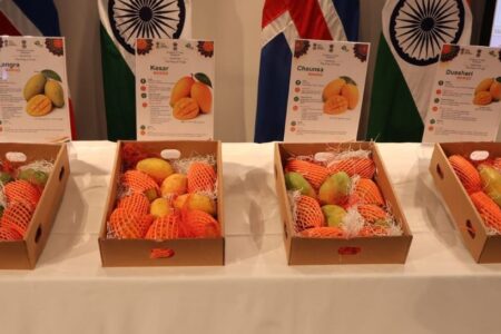Indian Mangoes Debut in Iceland with First Ever Promotion Drive
