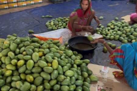 JioAirFiber Powers Dhenkanal’s Organic Mangoes Go Pan-India 