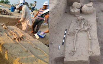 Rakhigarhi Human Skeletal