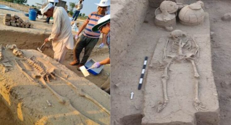 Rakhigarhi Human Skeletal