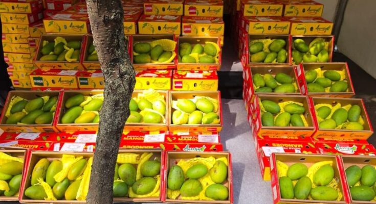 India Export