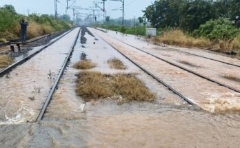 Cyclone Impact